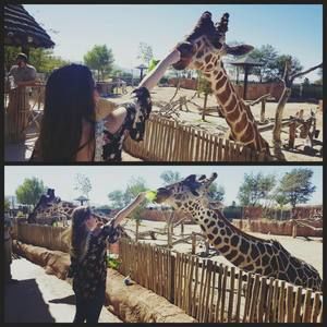 Meet your Posher, Ciera